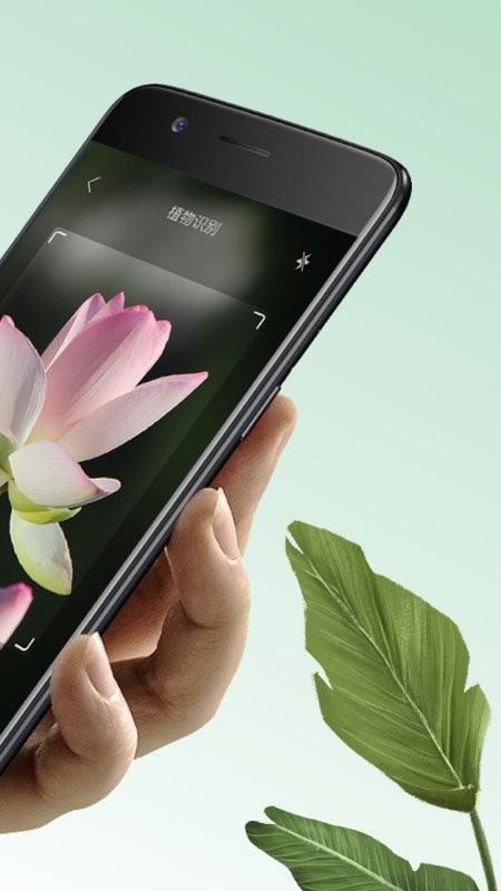 万物识图app下载,万物识图,识图app