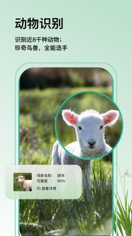 万物识图app下载,万物识图,识图app